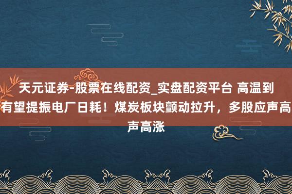 天元证券-股票在线配资_实盘配资平台 高温到来有望提振电厂日耗！煤炭板块颤动拉升，多股应声高涨
