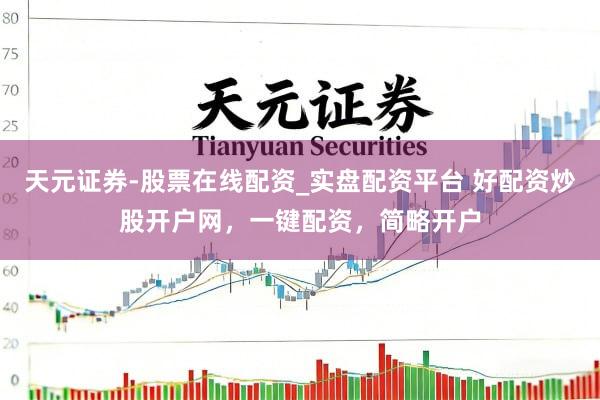 天元证券-股票在线配资_实盘配资平台 好配资炒股开户网，一键配资，简略开户