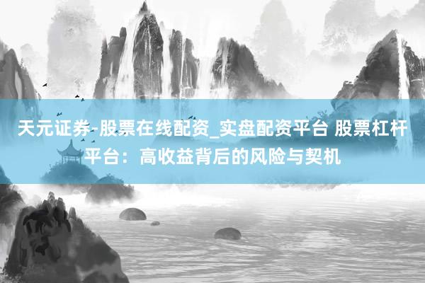 天元证券-股票在线配资_实盘配资平台 股票杠杆平台：高收益背后的风险与契机