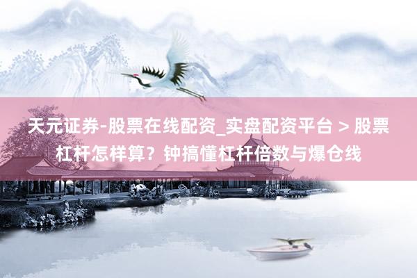 天元证券-股票在线配资_实盘配资平台 > 股票杠杆怎样算？钟搞懂杠杆倍数与爆仓线