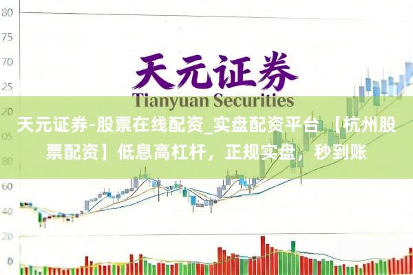 天元证券-股票在线配资_实盘配资平台 【杭州股票配资】低息高杠杆，正规实盘，秒到账