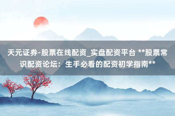 天元证券-股票在线配资_实盘配资平台 **股票常识配资论坛：生手必看的配资初学指南**